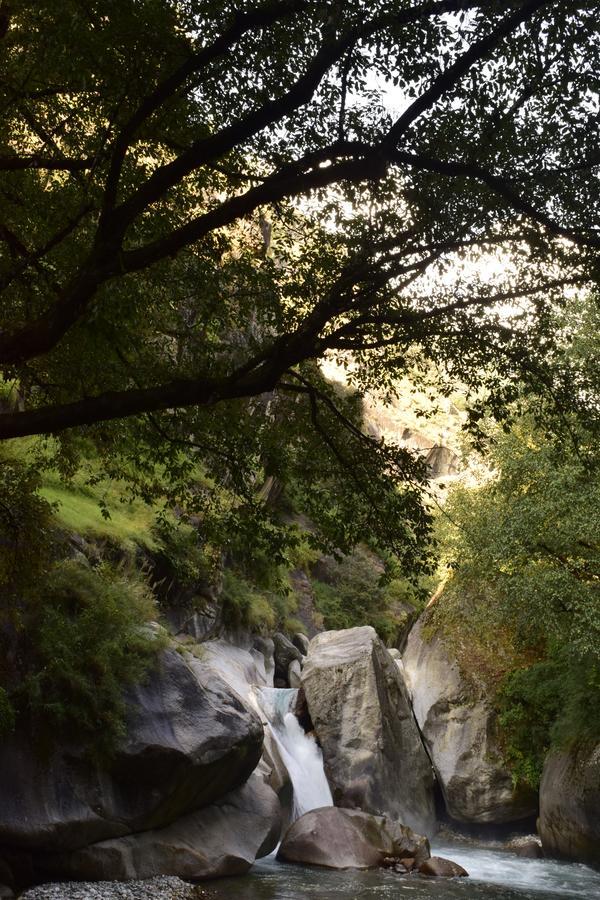 Offbeat Abodes - Tirthan Valley Banjar Exterior photo